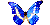 آبی پروانه
