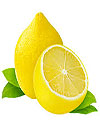 Lemon Wp